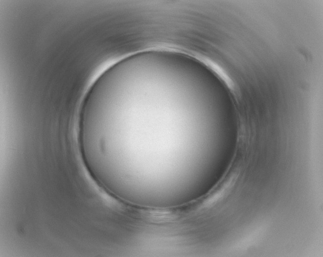 X0000115841007200911271216