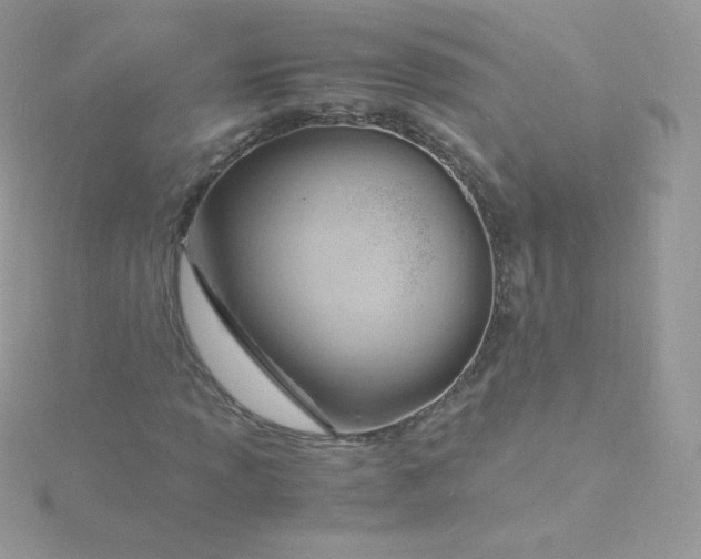 X0000115841013200911271216