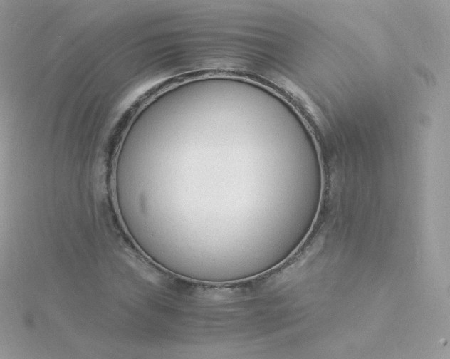 X0000115841019200911271216