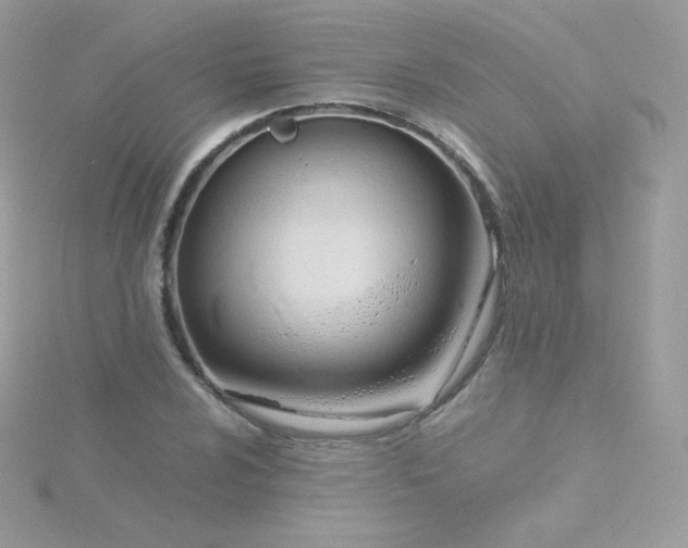 X0000115841024200911271216