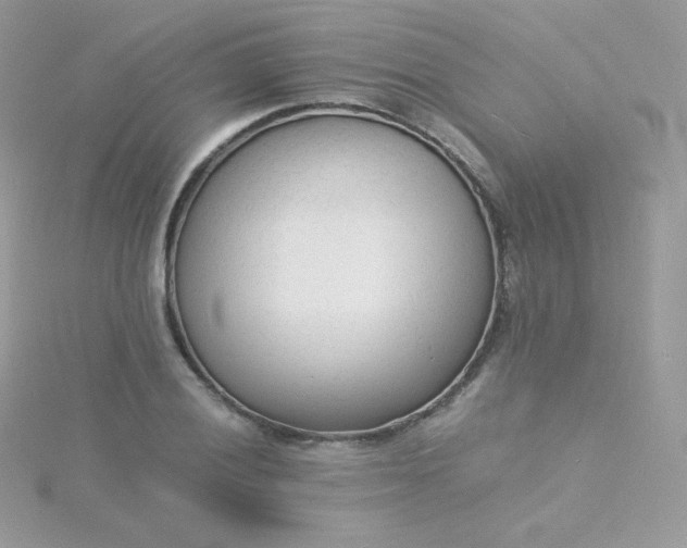 X0000115841028200911271216