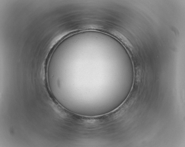 X0000115841031200911271216