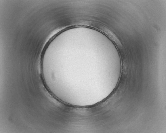 X0000115841036200911271216