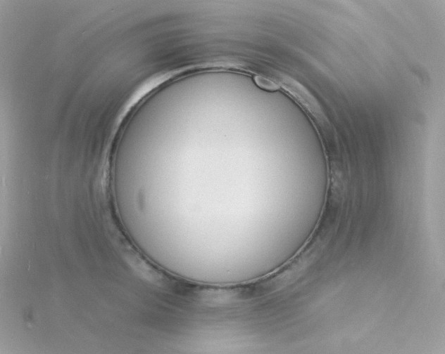 X0000115841044200911271216