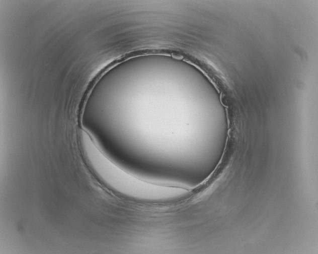 X0000115841073200911271215