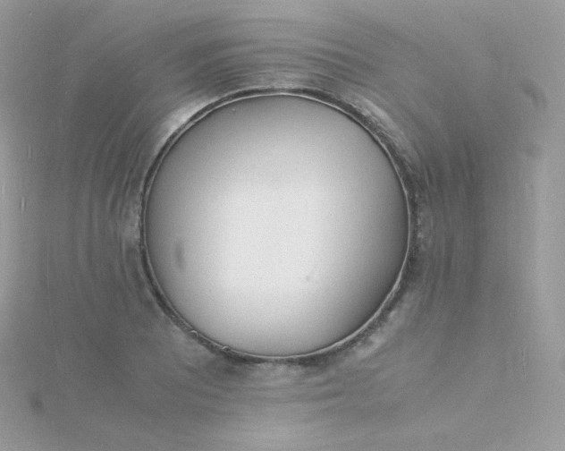 X0000115841081200911271215