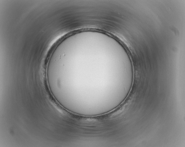 X0000115841119200911271215