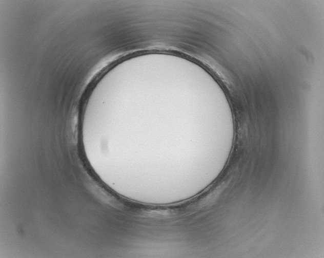X0000115841126200911271215