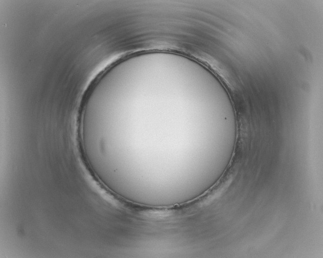 X0000115841134200911271215