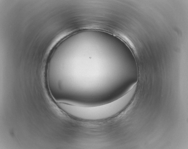 X0000115841138200911271215