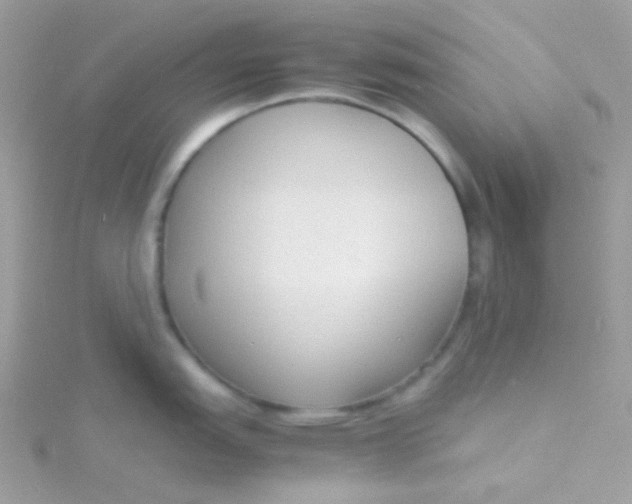 X0000115841151200911271215