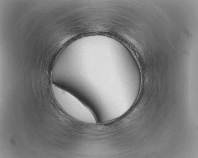 X0000115841161200911271214
