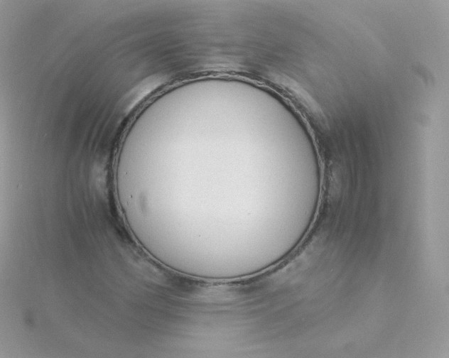 X0000115841162200911271214