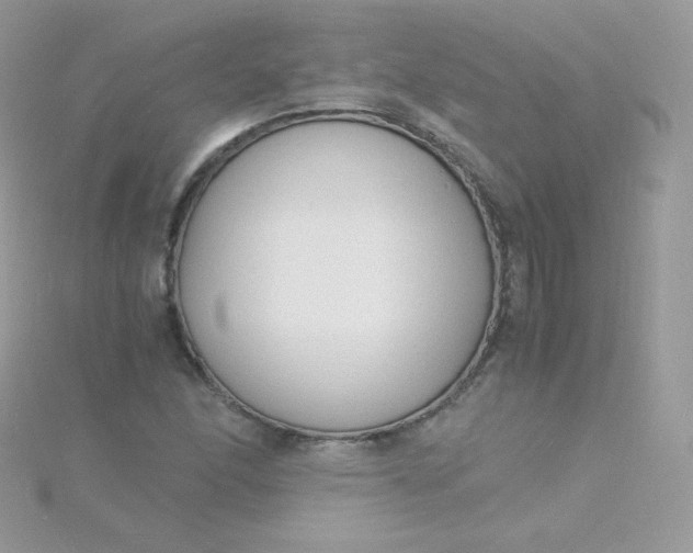 X0000115841166200911271214