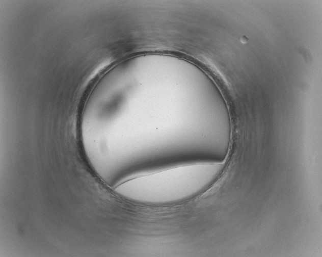 X0000115841173200911271214