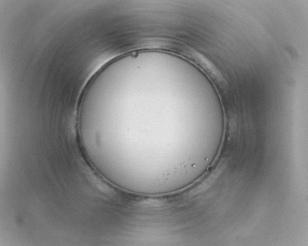X0000115841178200911271214