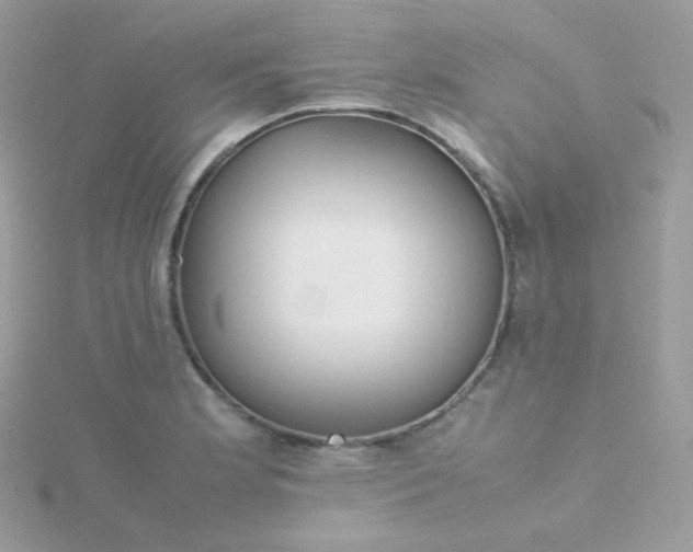 X0000115841181200911271214