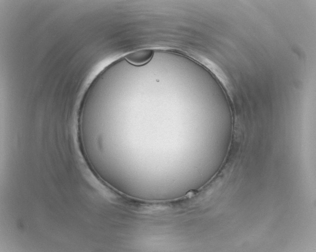 X0000115841187200911271214