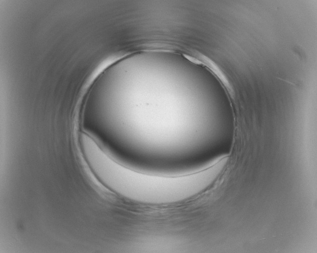 X0000115841195200911271214