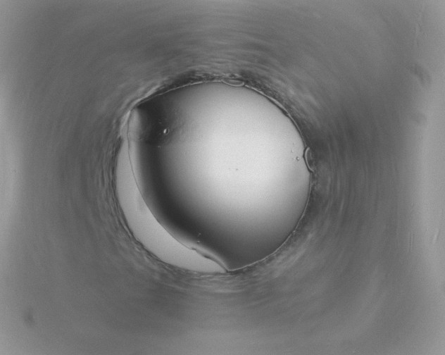 X0000115841201200911271213
