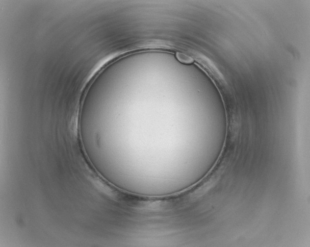 X0000115841228200911271213
