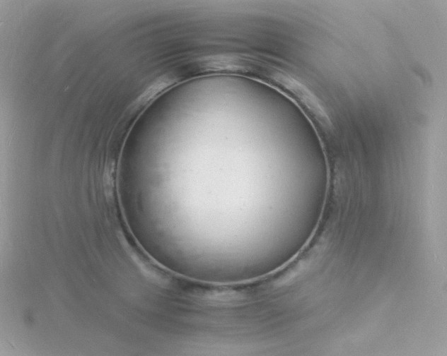 X0000115841233200911271214
