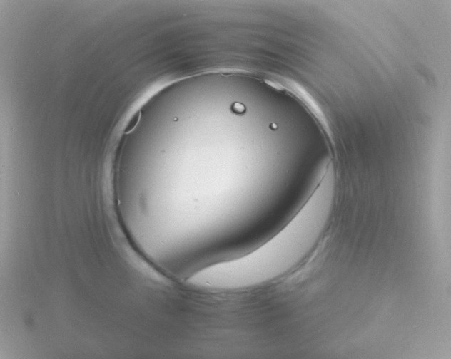 X0000115841243200911271214