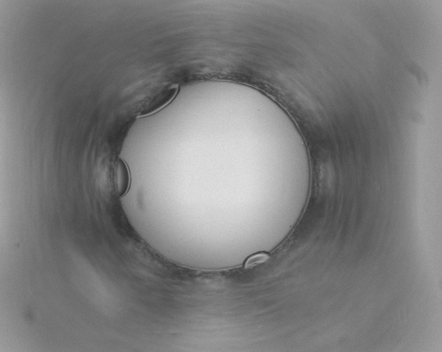 X0000115841250200911271213