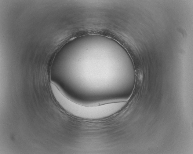 X0000115841252200911271213