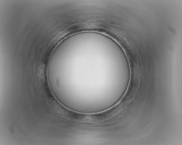 X0000115841265200911271213