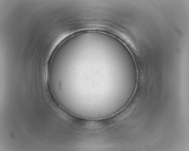 X0000115841275200911271213