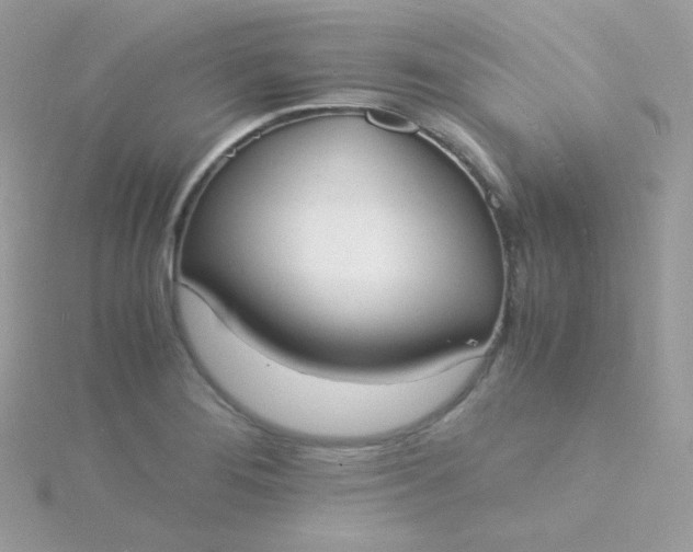 X0000115841276200911271213