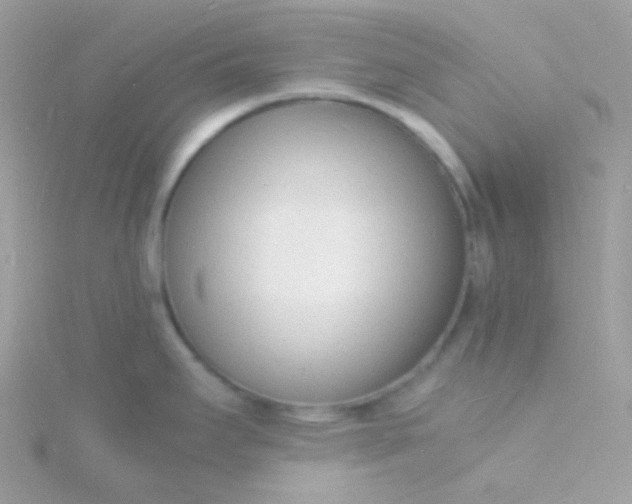 X0000115841295200911271212
