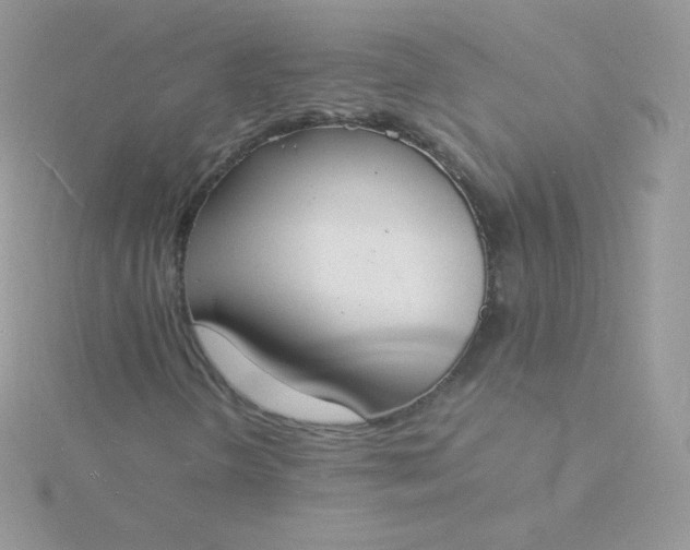 X0000115841298200911271212