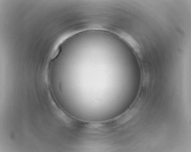 X0000115841342200911271212