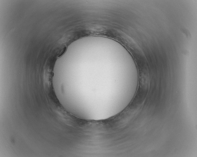 X0000115841346200911271212