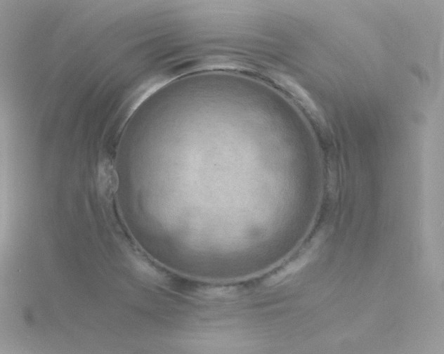 X0000115841369200911271211