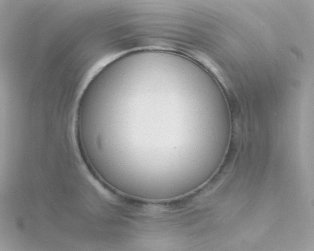 X0000115841379200911271211
