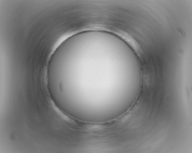 X0000115841382200911271211