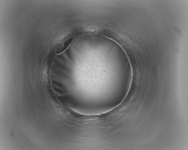 X0000115841394200911271210