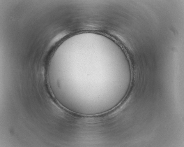 X0000115841402200911271210