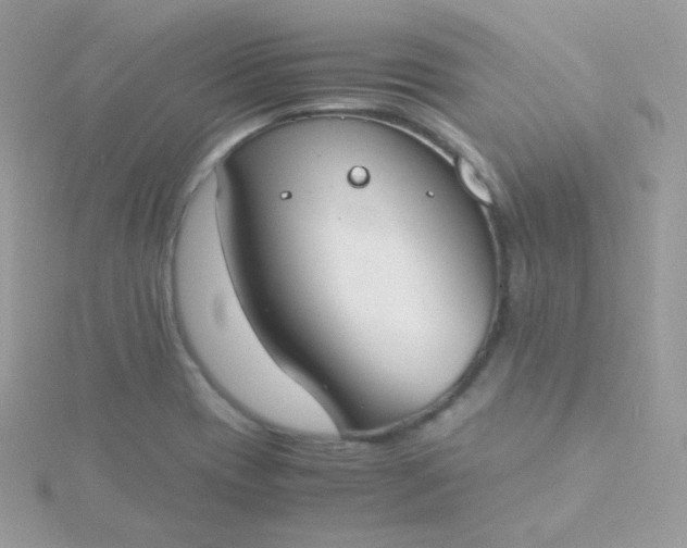 X0000115841417200911271211