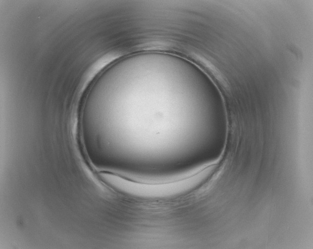 X0000115841418200911271211