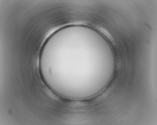 X0000115841420200911271211