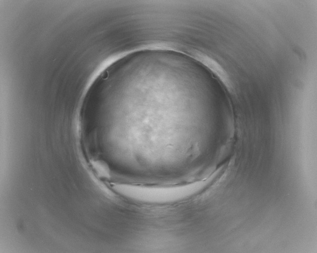 X0000115841428200911271211