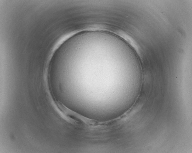 X0000115841429200911271211
