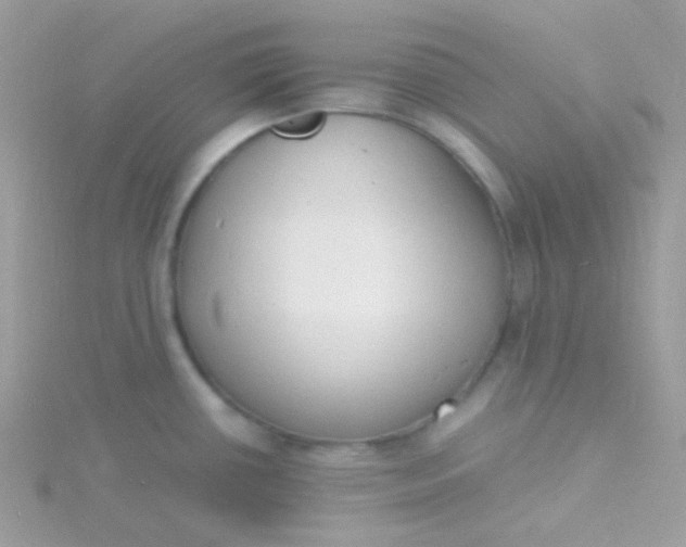X0000115841434200911271211