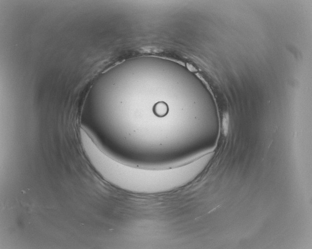 X0000115841444200911271210