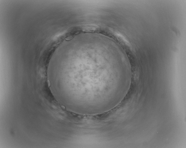 X0000115841445200911271210