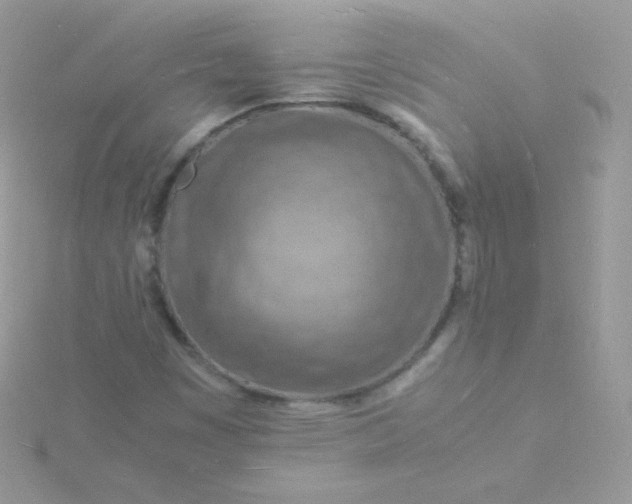 X0000115841449200911271210